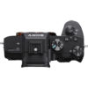 Sony ALPHA 7 IV +28-70/3.5-5.6 – Image 3