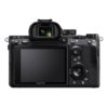 SONY ALPHA 7R III Nu – Image 4